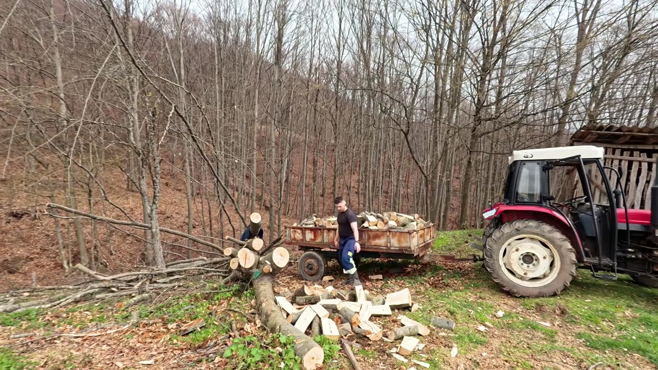 A DAY AT THE HOME '' WOOD CHOPING AT THE FARM''