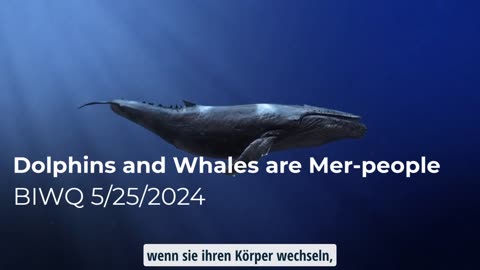 Delfine und Wale sind Meermenschen