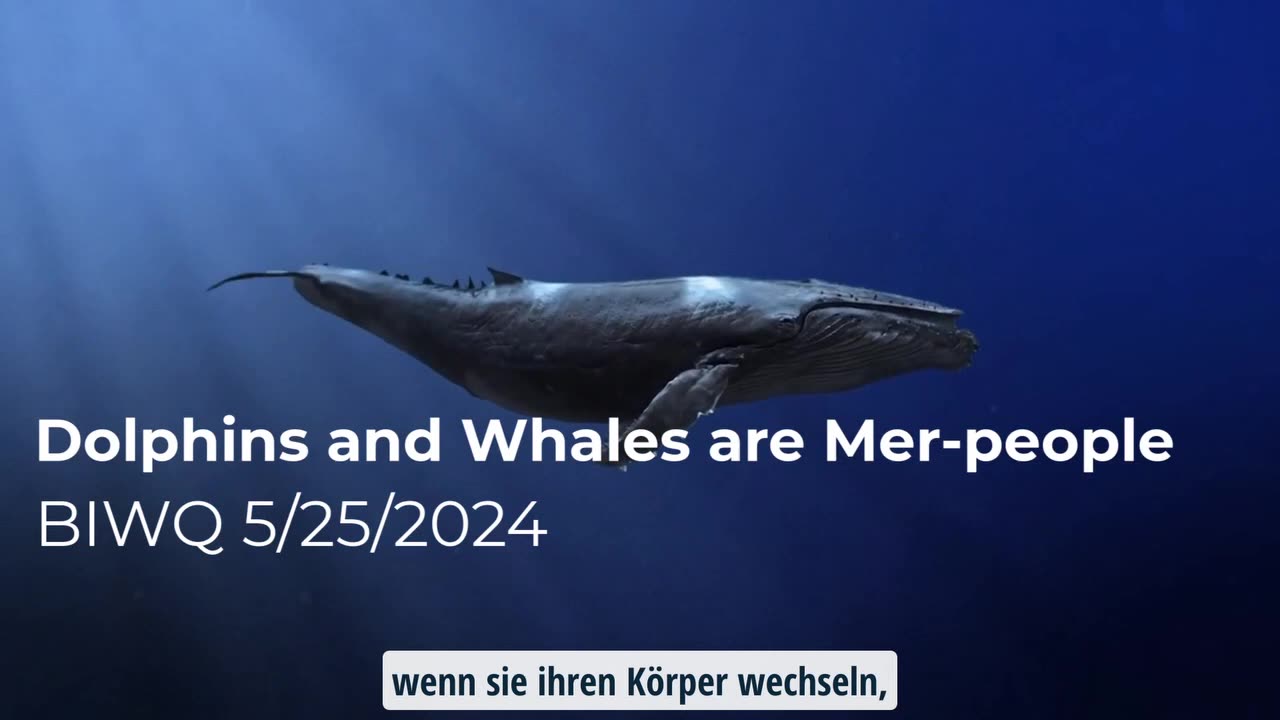 Delfine und Wale sind Meermenschen