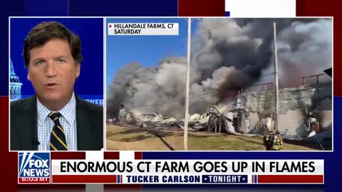 Tucker Carlson: This is a matter of national survival