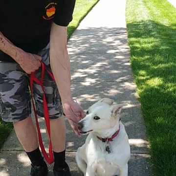 Hi I'm Sophie introduction to At Ease cue