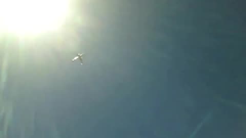 Plane caught on the camera together with the Sun, crossing skies of the beach! [Nature & Animals]