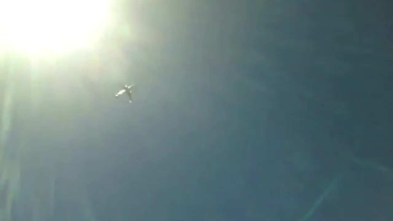 Plane caught on the camera together with the Sun, crossing skies of the beach! [Nature & Animals]