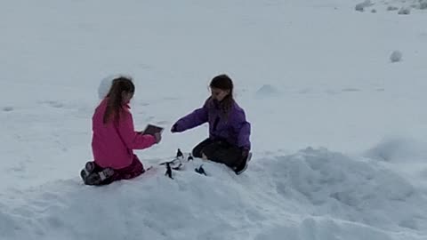 Girlsdinozaursinsnow