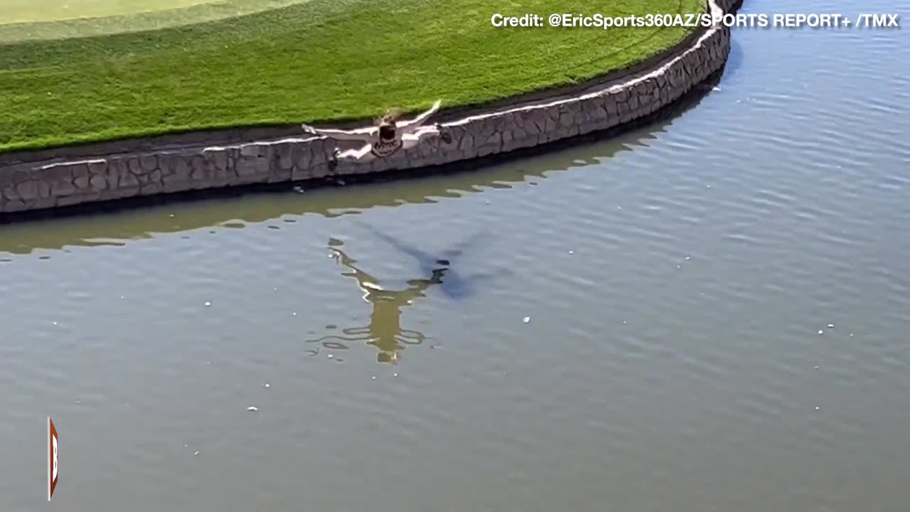 Speedo-Wearing "Mullet Streaker" BELLY FLOPS into Pond at Phoenix Golf Tournament