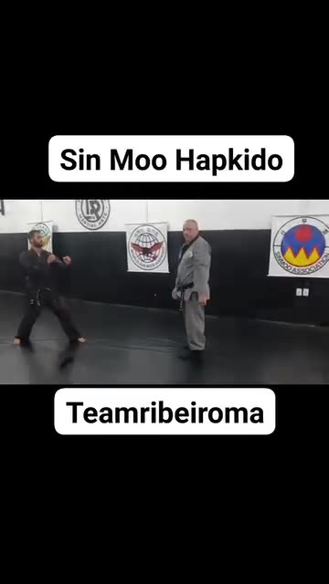 Sin Moo Hapkido