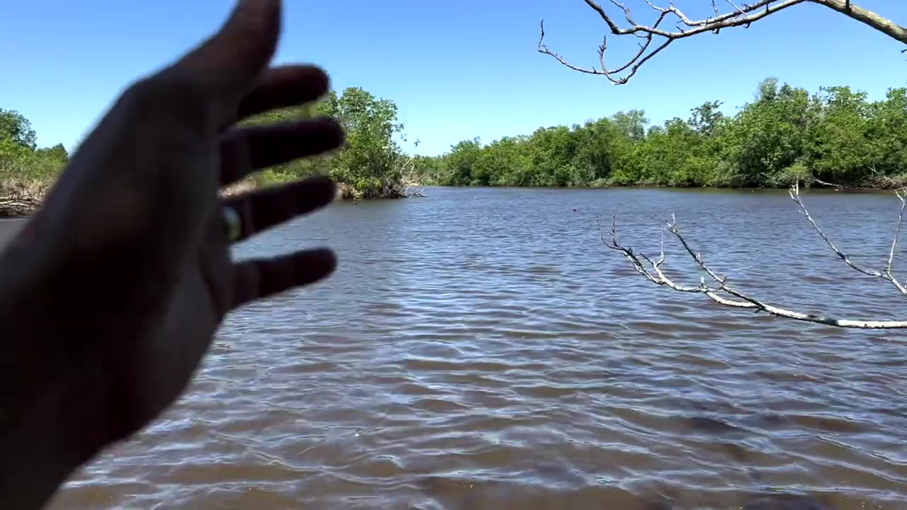 ***This GIANT TURTLE Will Bite Your HAND OFF (Catch and Cook)***