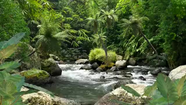 Relaxing Music With Sounds Of Water And Rainforest To Soothe - Feel In Nature