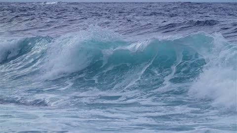 Surfing Nature Water Wave Ocean Surfing Stock Video
