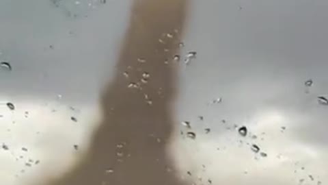 Nature is awesome