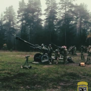Firing Field Gun at Russian Positions