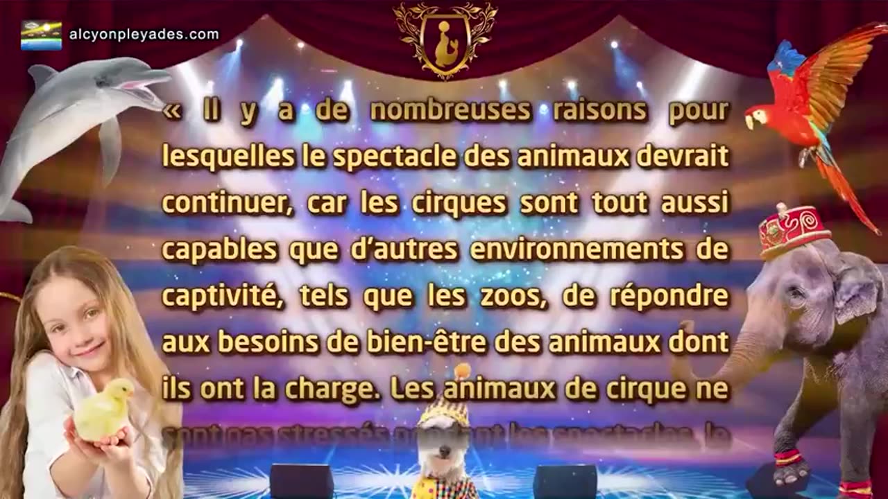 Alcyon Pléiades Extra 71 12ème Anniversaire, Spectacle, Animaux de compagnie, Soutien-Therapie