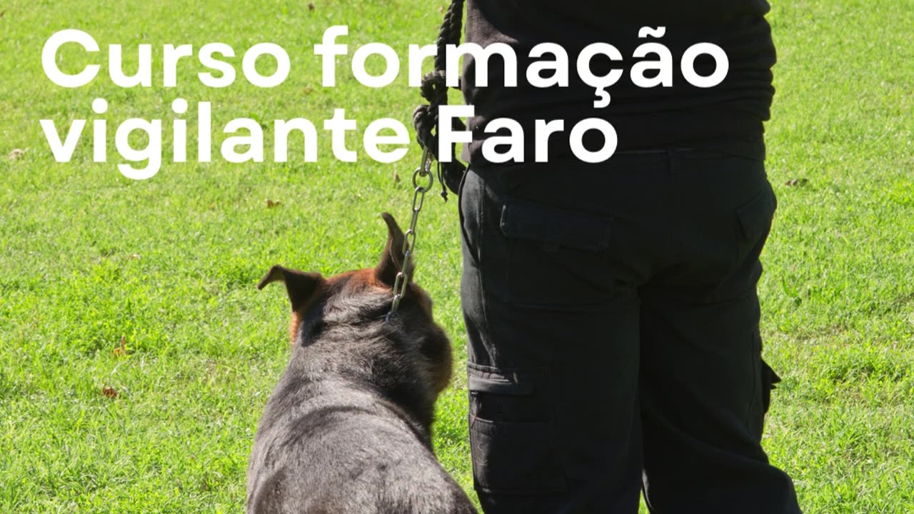 Curso Formação Vigilante Faro