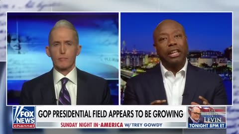 Tim Scott This is the beauty of America