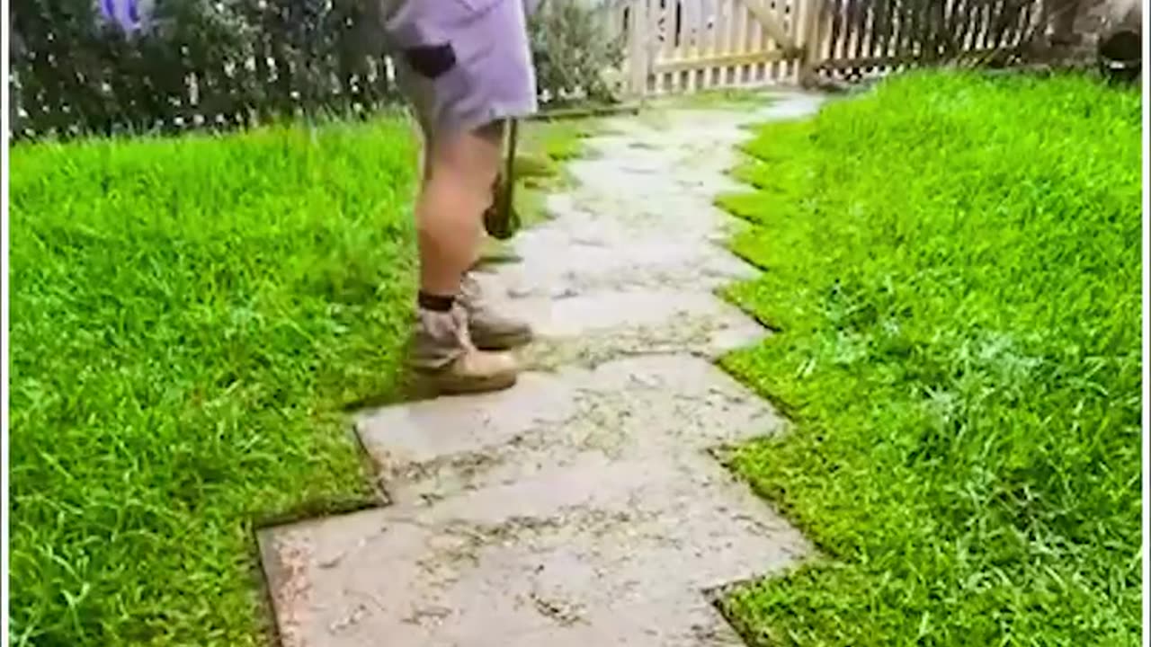 Lightening Quick