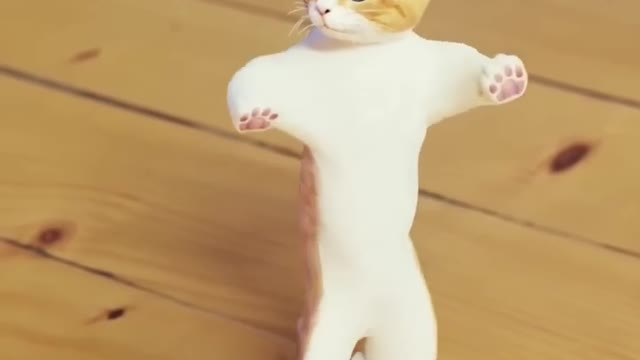 Cat funny dance 😆