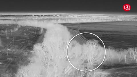 Russians seeking to hide in forest “hunted" with the help of night vision device
