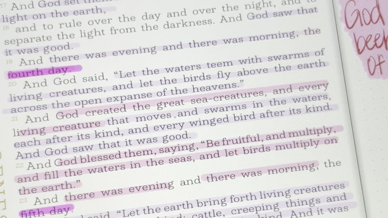 The Original Sin 🍎 Adam & Eve — The Symbolism
