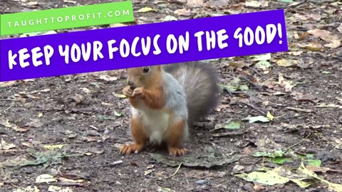 Keep Your Focus On The Good, Even When There Are Wars, Rumors Of Wars, Pestilence, And Other Ills!