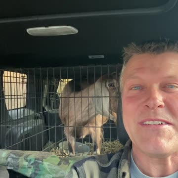 You Might Be A Redneck If