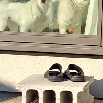 JAPANESE TYPICAL HOUSE