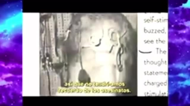 Do your own research and make up your own mind