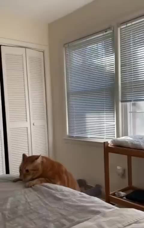 It was hard but I made it 🤣