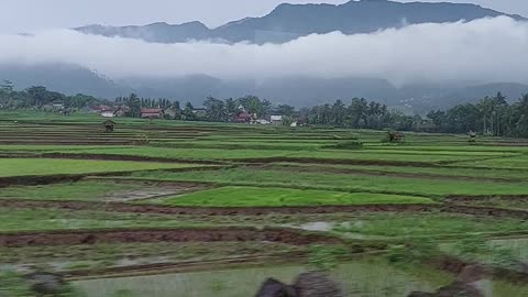 Natural view from the train