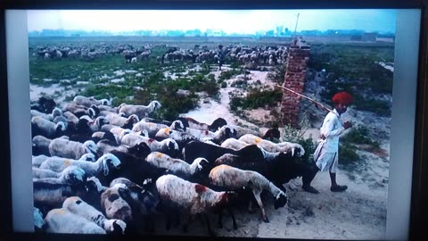 YOUR DUTY TO THE CONGREGATION- GMSRIPPEDFROMTHEHEADLINES