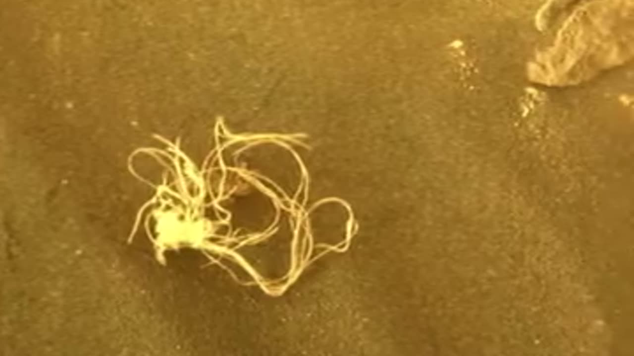 Secrets of Mars Episode 55