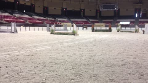 BEST Indoor Classic June 2013 - Deb and Darby, 2'3 Open Hunter(1)