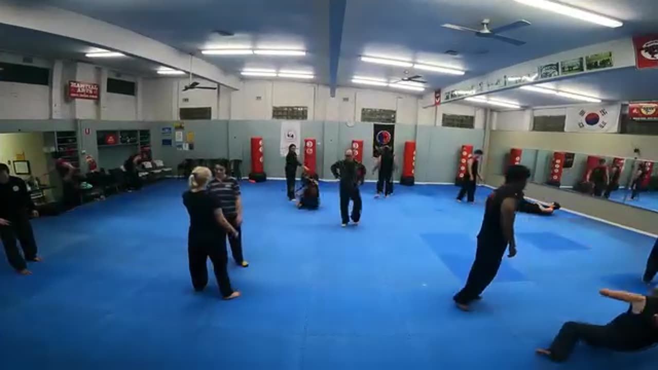 Hapkido
