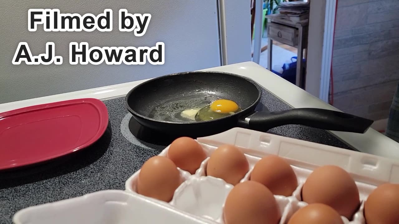 HOW TO COOK THE PERFECT EGG!