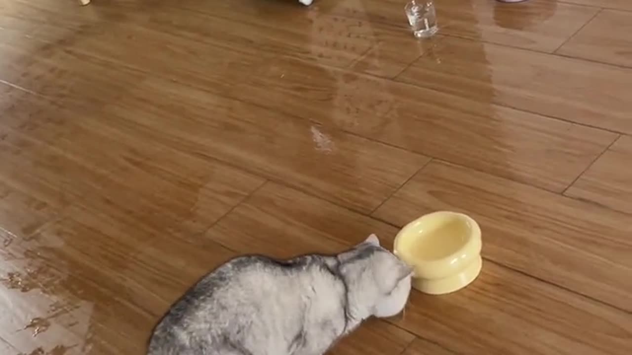 you can't see me~ you can't see me