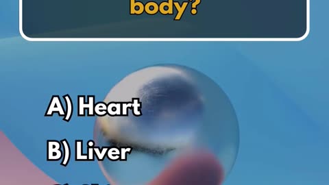 What is the largest organ in the human body?