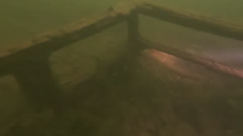 Car in the Snake River?
