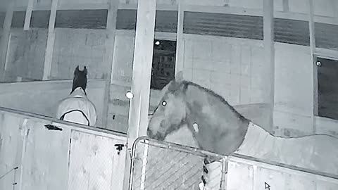Orb spotted in barn UFO ?