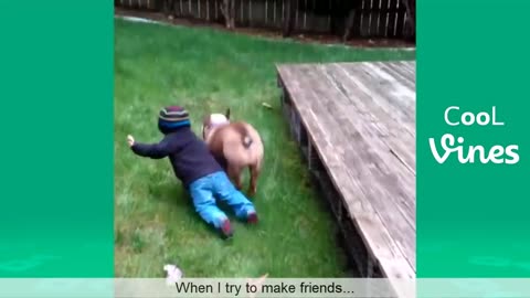 Try Not To Laugh Challenge - Funny Cat & Dog Vines compilation 2017