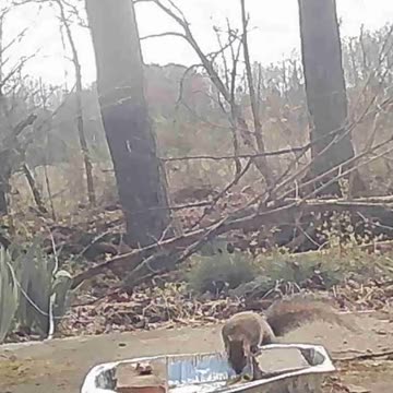 EA S108 - Fantastic Leftovers