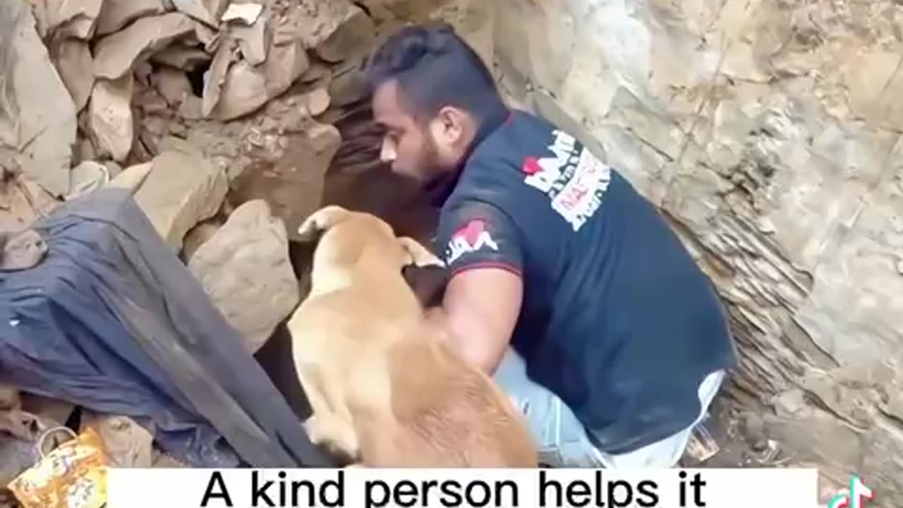 THIS IS WHAT 🥹HUMANE 👀LIKE 🥲MAN HELPS MOMMA 🐕 RESCUE HER BABIES🐶 BURIED IN THE RUBBLE OF THE EARTHQUAKE