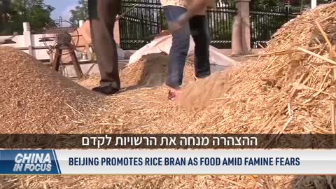 ?מחסור באורז בסין