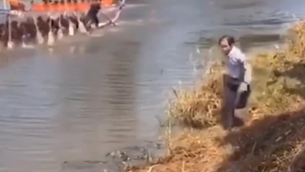 Humorous performance art