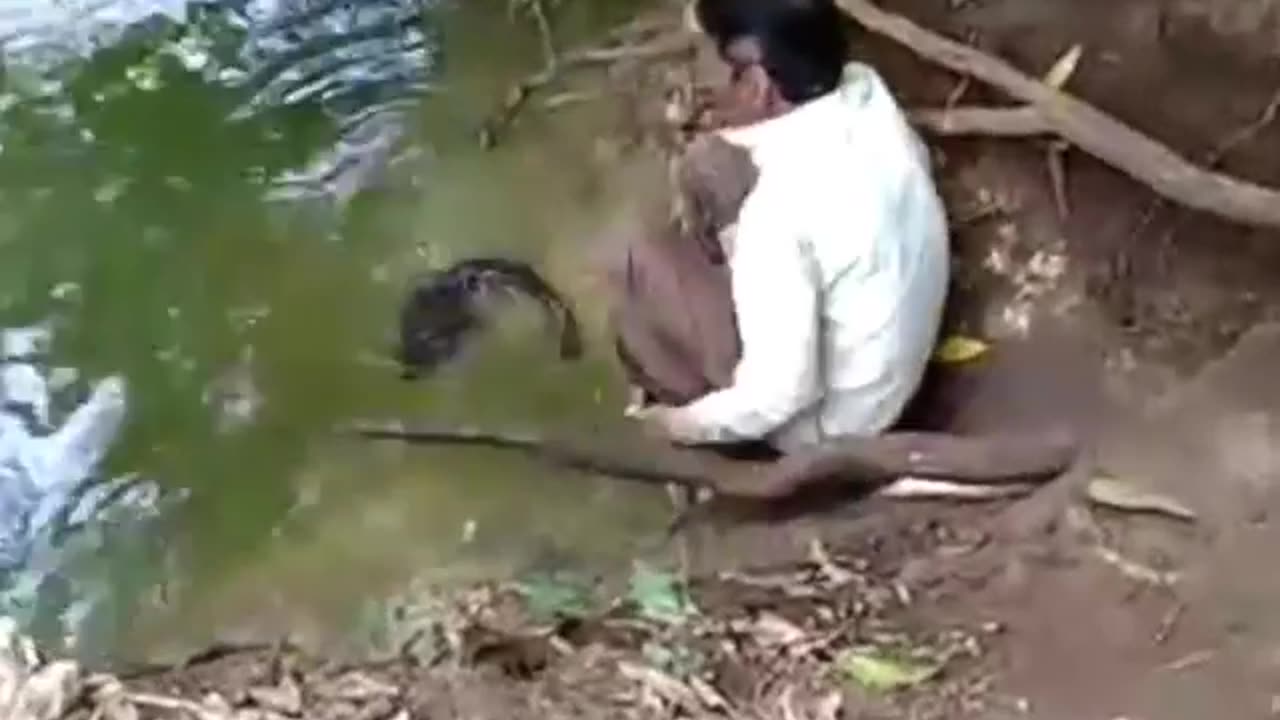 Being Kind is Like A Universal Language #shorts #shortvideo #video #virals #videoviral