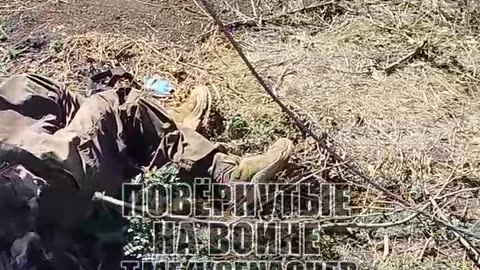 AFU corpses abandoned near Novogrodovka