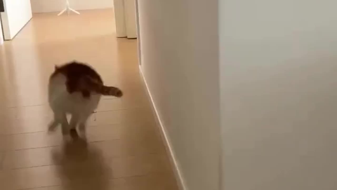 Objects in motion tend to stay in motion 🤣