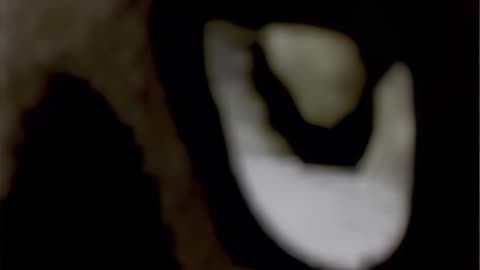 WAV - Where This Takes It