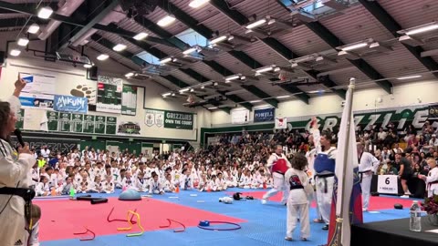 The Ninja Challenge 🤣