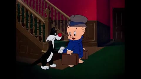 Looney Tunes | Scaredy Cat (1948 Full Episode) | Warner Classics