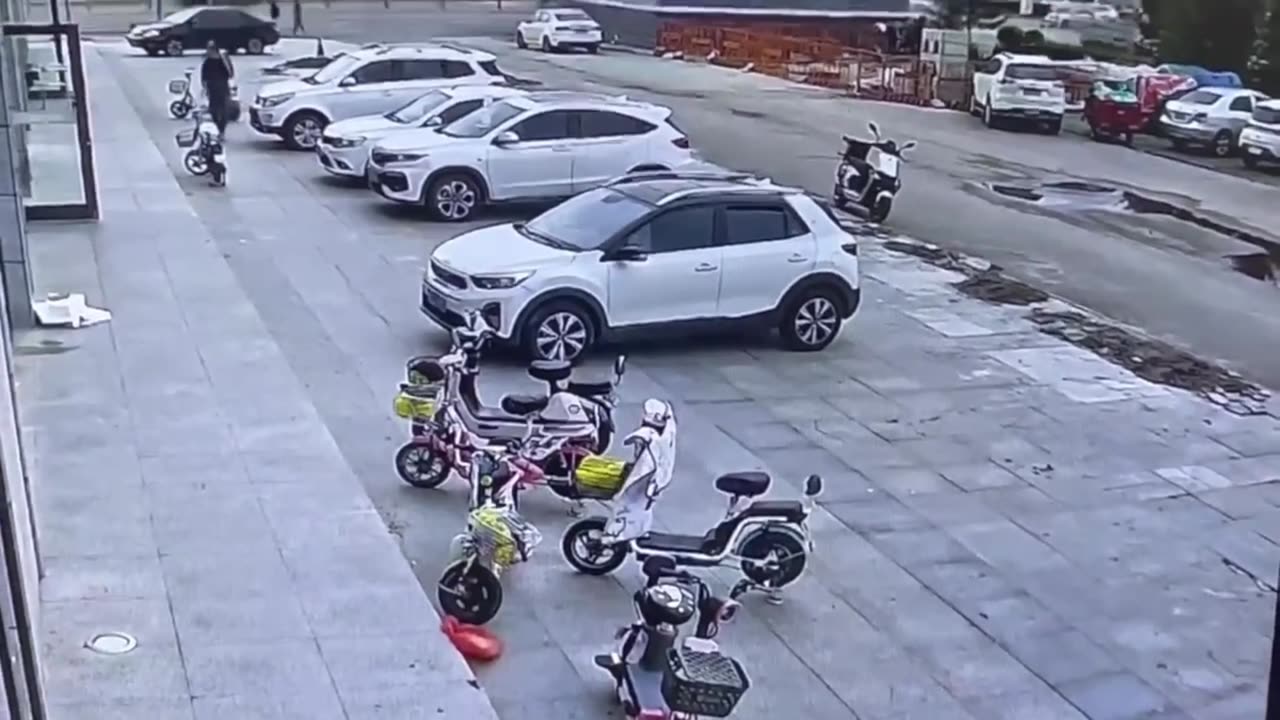 Sneaky Dog Steals Food from Man's Scooter!