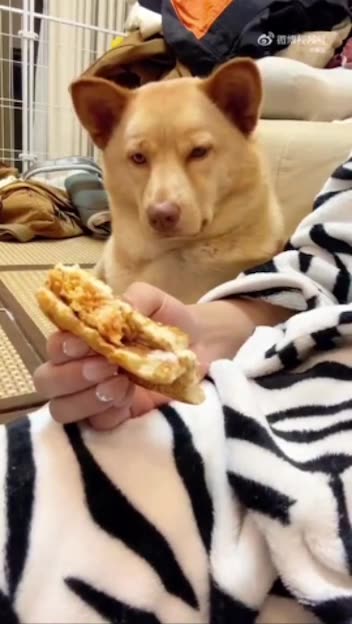 Why must you torment me like this ?